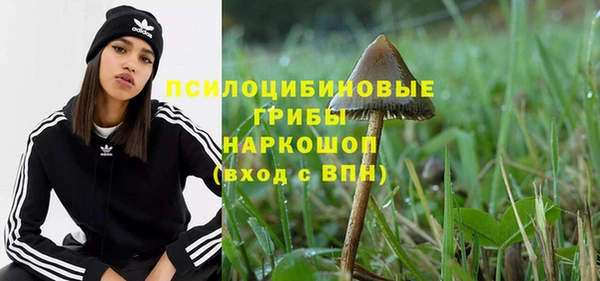 a pvp Беломорск