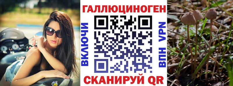 Псилоцибиновые грибы ЛСД Первомайск